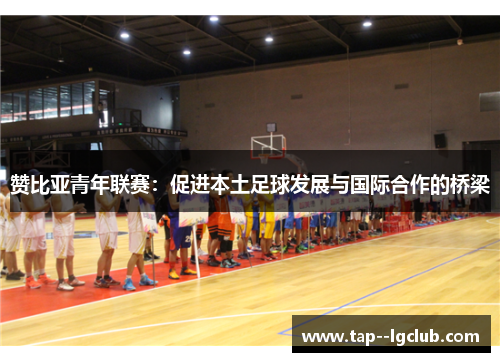 赞比亚青年联赛：促进本土足球发展与国际合作的桥梁